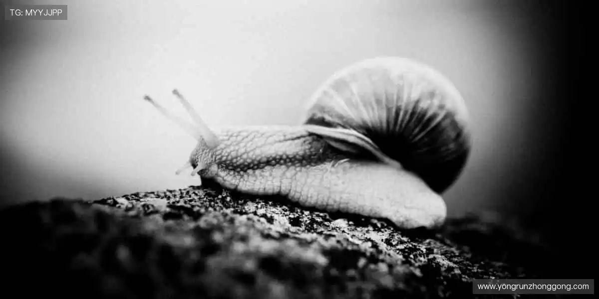 穿上队魂，书写历史！👕⚽️